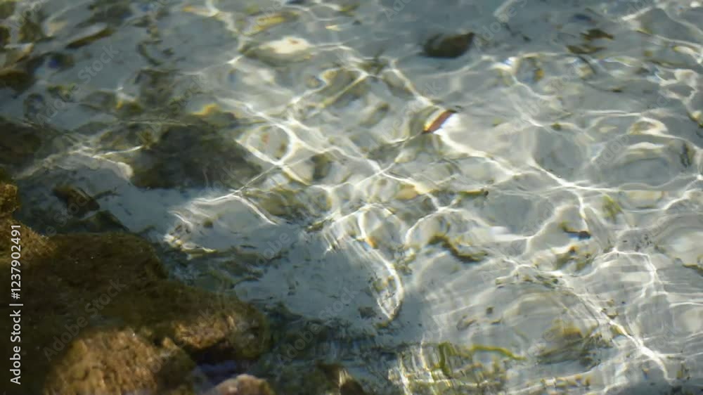 Water Clear Canal from Naturally spring with Plastic Boat. Tourism Activity at Ban Nam Rad Watershed Forest in Surat Thani, Water Clear Canal from Naturally spring with Plastic Boat. Tourism Activity at Ban Nam Rad Watershed Forest in Surat Thani,