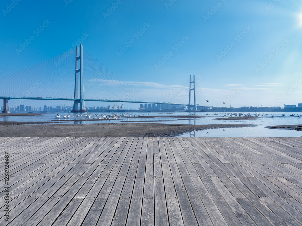 Jiujiang Yangtze river second bridge and migratory birds landscape