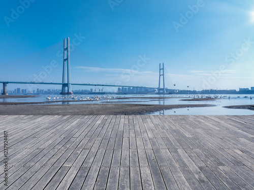 Obraz na płótnie Jiujiang Yangtze river second bridge and migratory birds landscape w salonie