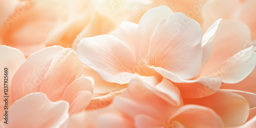 Wallpaper Mural Soft pastel petals in gentle bloom create a serene and delicate floral background Torontodigital.ca