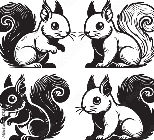 Squirrel vector in black and white
