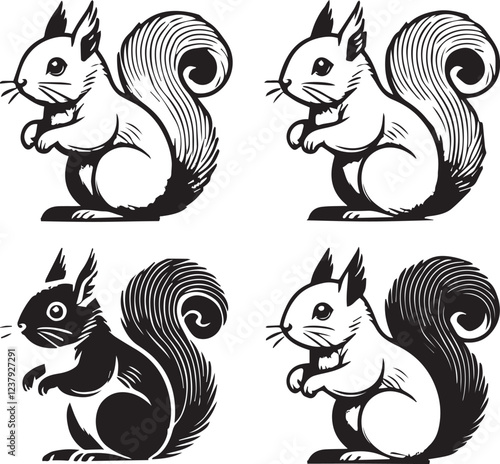Squirrel vector in black and white