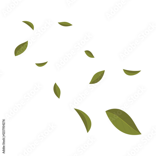 Flying dry tea leaves on white background. Tea leaves isolated. Matcha leaf flying.