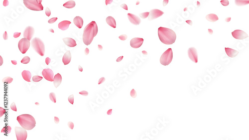 large and small cherry blossom petals romantic background with realistic pink falling motion