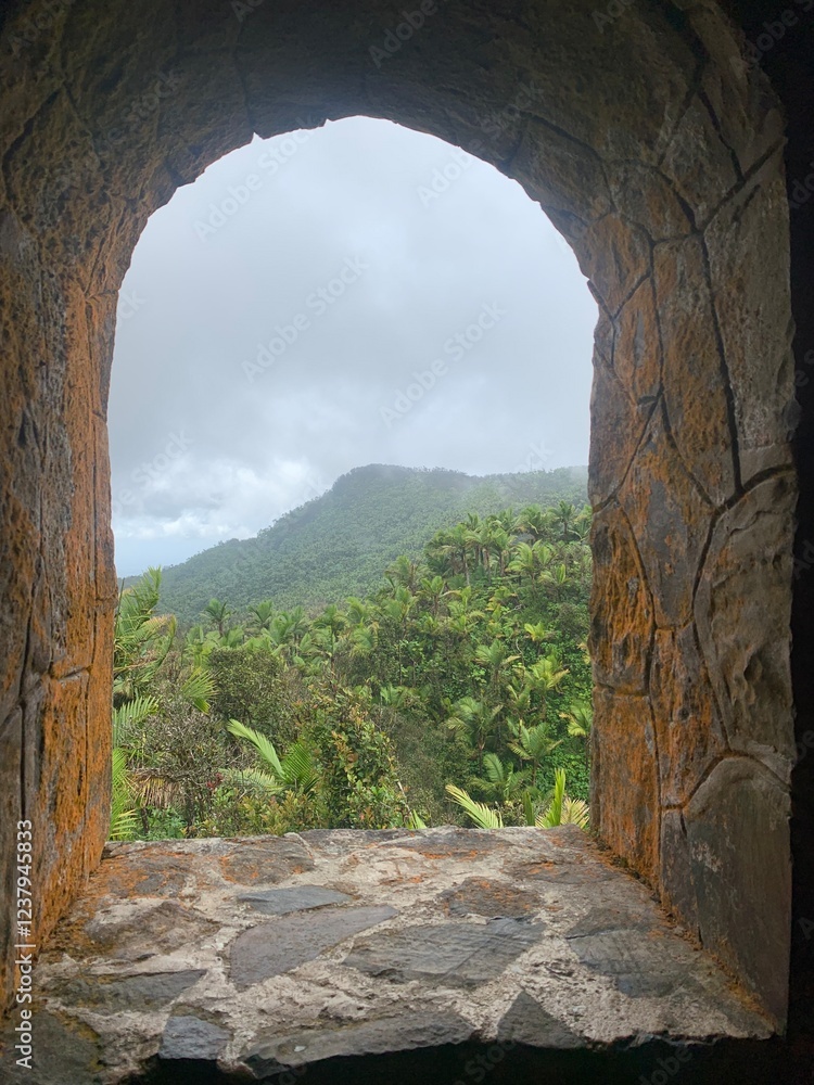 Obraz premium ruins of an castle