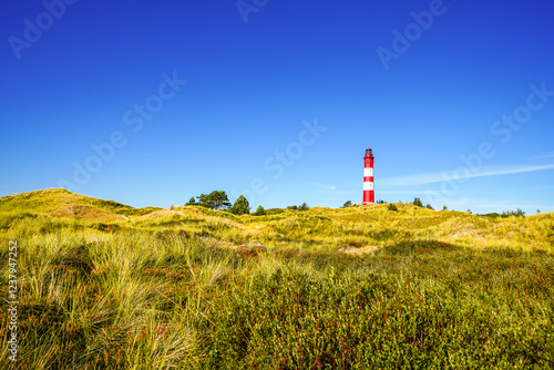 Schilderij op canvas View of the dunes on the North Frisian island of Amrum