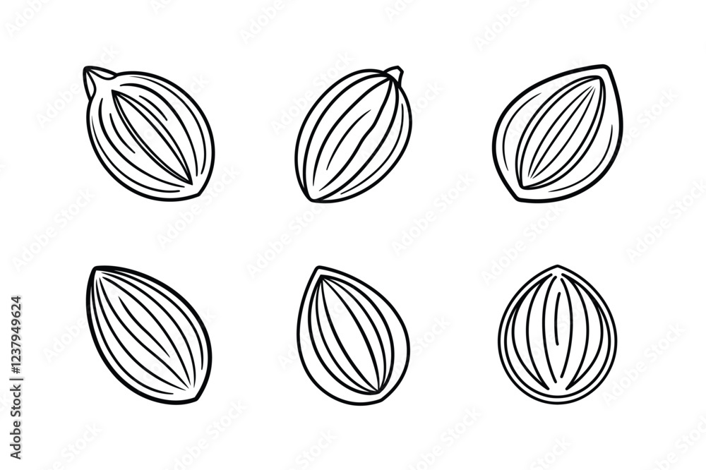 almonds icon line art vector illustration almonds icon line art vector illustration