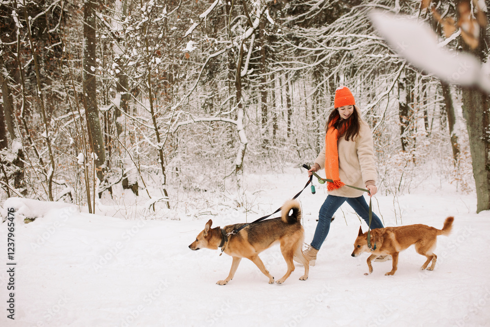 Woman holding pet leash and walking with dogs in winter forest Woman holding pet leash and walking with dogs in winter forest