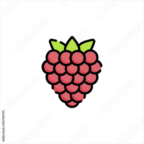 raspberry on white background