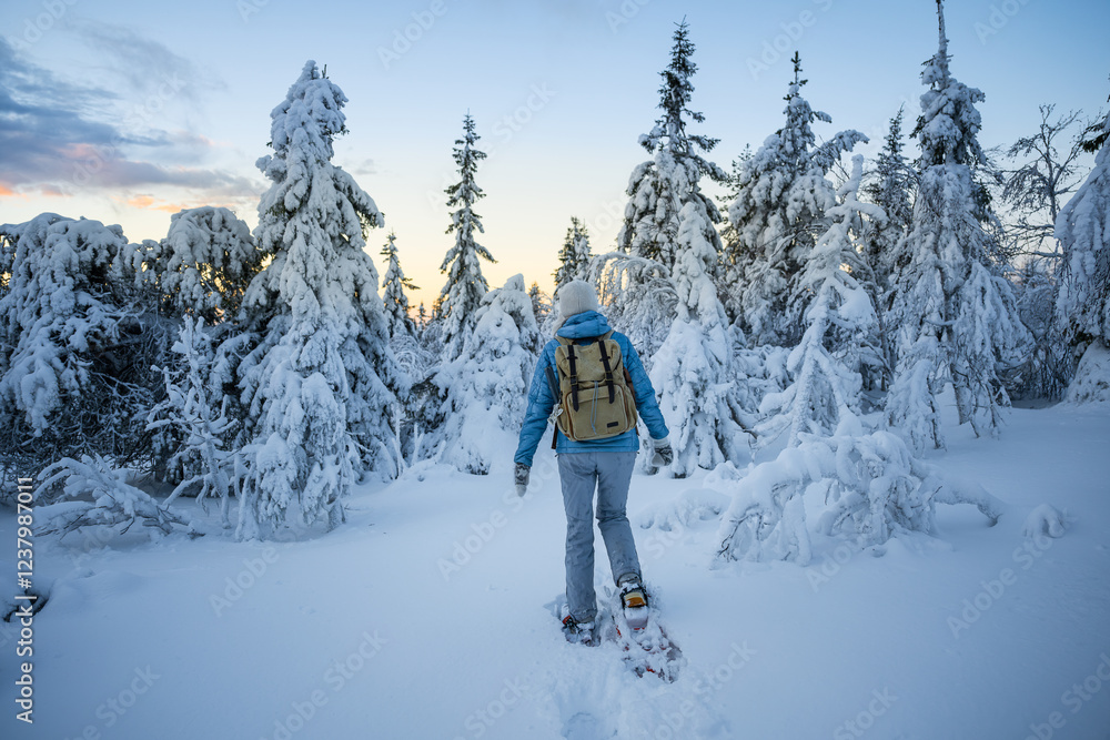 Woman in snowshoes walks in a snowy forest in national park of Finland Woman in snowshoes walks in a snowy forest in national park of Finland