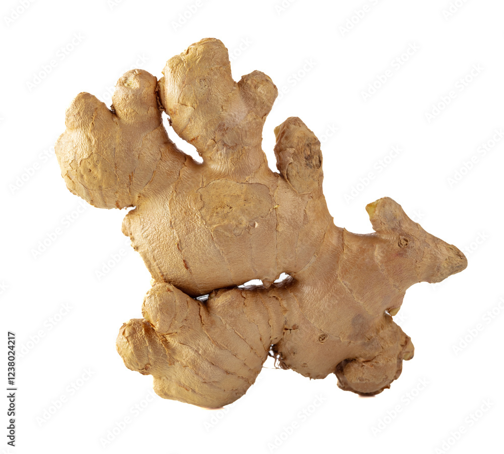 Fresh ginger isolated on a white background. Fresh ginger isolated on a white background.