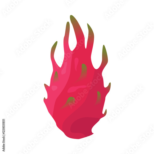 Dragon fruit illustration isolated on white