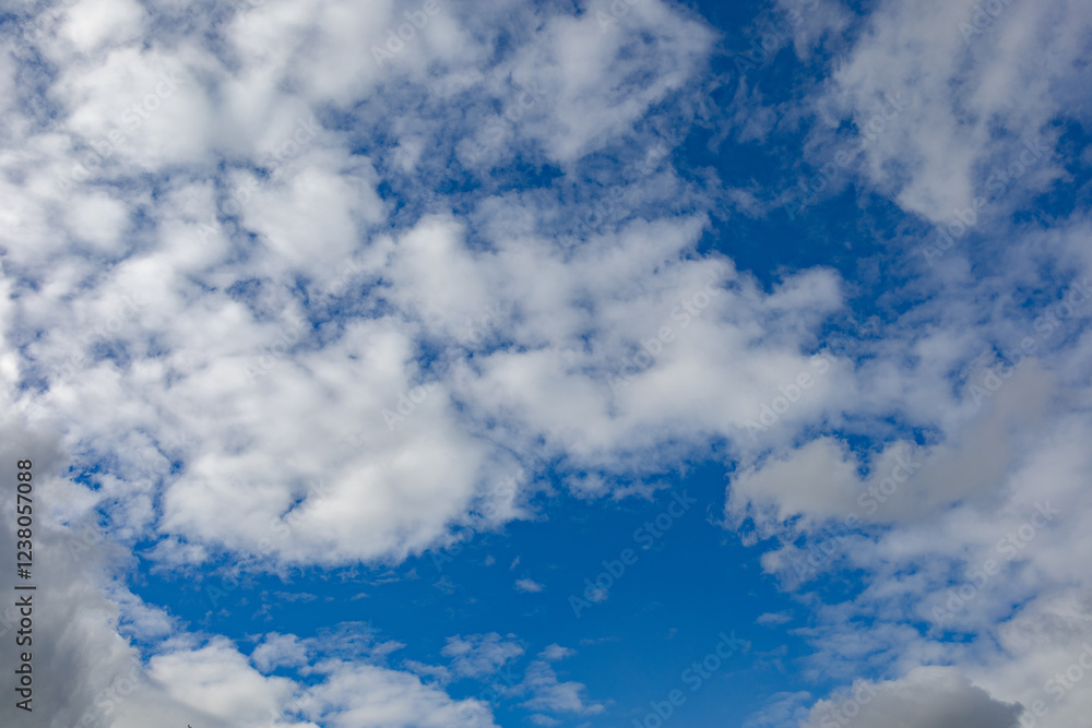 Obraz premium clouds in the blue sky