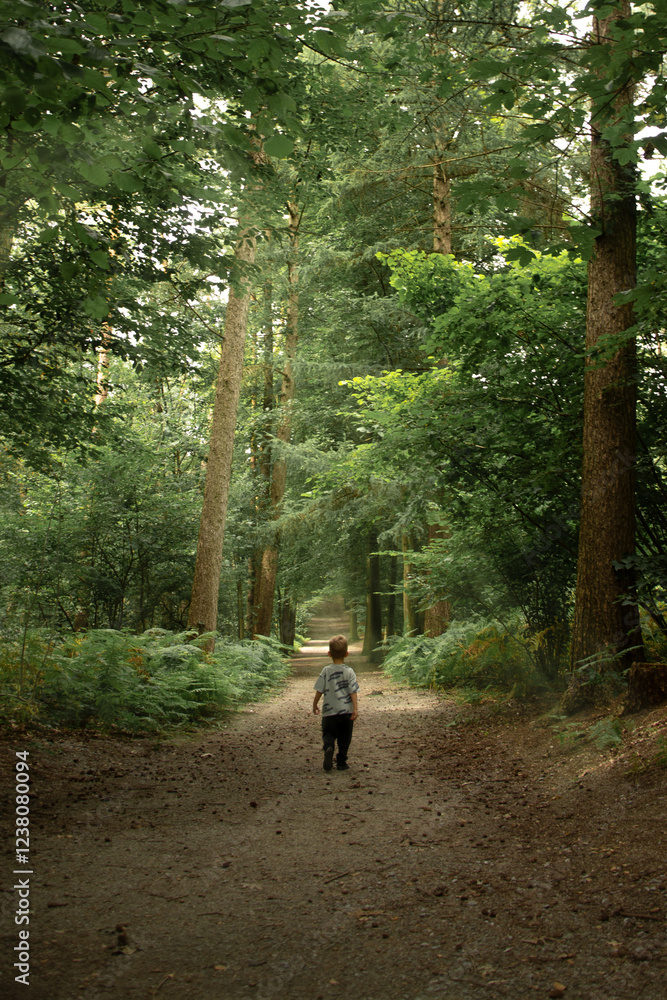 Little boy walking in the forest. Back view of a little boy walking in the forest. Little boy walking in the forest. Back view of a little boy walking in the forest.