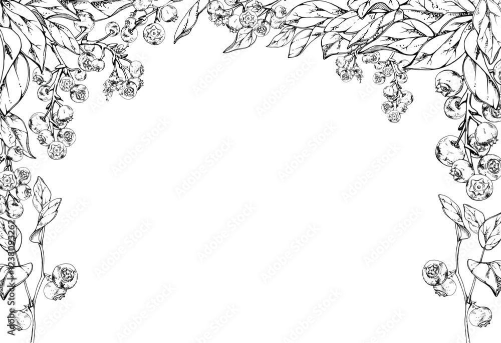 Blueberry blackberry cluster with plant leaves on branch, hand drawn in ink vector, ripe forest berry. Isolated corner frame botanical illustration for restaurant, cafe menu, wedding, farmers market Blueberry blackberry cluster with plant leaves on branch, hand drawn in ink vector, ripe forest berry. Isolated corner frame botanical illustration for restaurant, cafe menu, wedding, farmers market