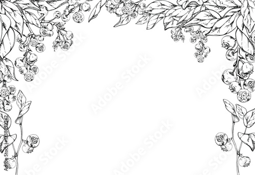 Blueberry blackberry cluster with plant leaves on branch, hand drawn in ink vector, ripe forest berry. Isolated corner frame botanical illustration for restaurant, cafe menu, wedding, farmers market