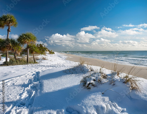 Snow covers Florida's beaches, creating a striking contrast of winter wonderland and tropical charm in a serene coastal environment
