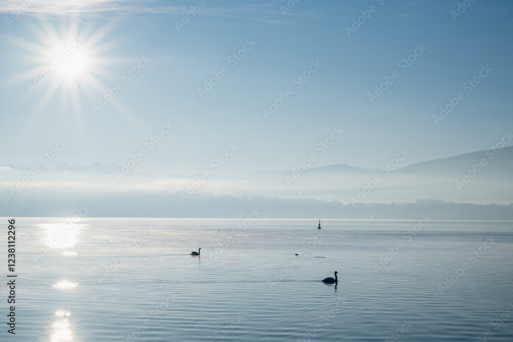 Quand le Lac Respire l’Hiver Quand le Lac Respire l’Hiver