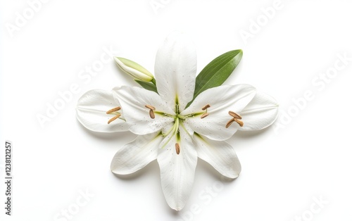 Minimalist Easter Elegance Lily Cross on Pristine White - Spring Decor Trends for Seasonal Interior and Retail Visual Merchandising