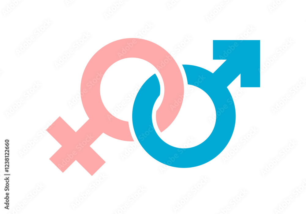 Gender blue male and pink female sign icon flat vector design Gender blue male and pink female sign icon flat vector design