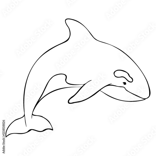 Vector contour of Killer whale or Orcinus orca. Linear Wild inhabitants of the seas and oceans of the Arctic. Hand drawn outline illustration. Undersea mammal animal in monochrome