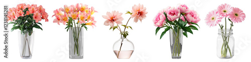 PNG Vibrant floral arrangements in vases, element set on transparent background