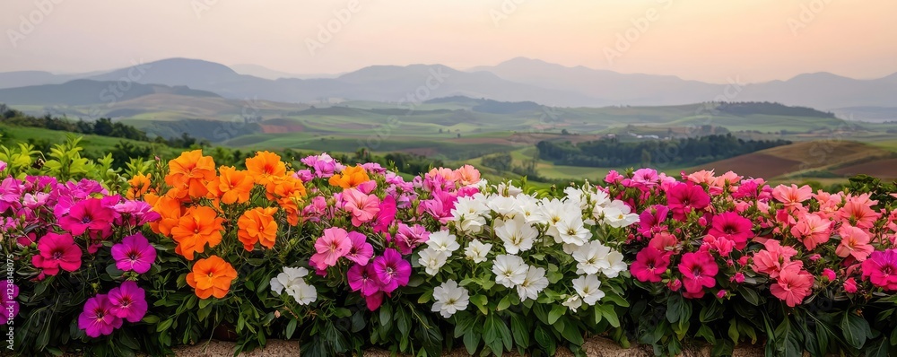 Fototapeta premium Garden blooms nature concept. A vibrant display of blooming flowers with mountains in the background at sunset.
