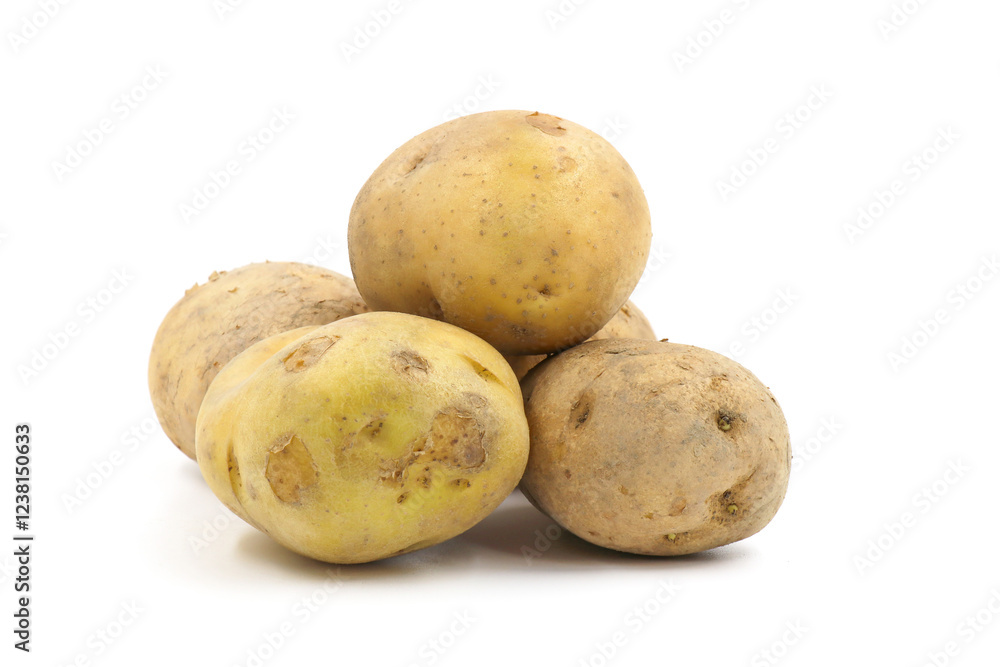 Young potato isolated on white background. Harvest new. Flat lay Young potato isolated on white background. Harvest new. Flat lay