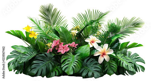 Fototapeta Naklejka Na Ścianę i Meble -  Lush green tropical plants with exotic flowers, isolated on transparent cutout background	