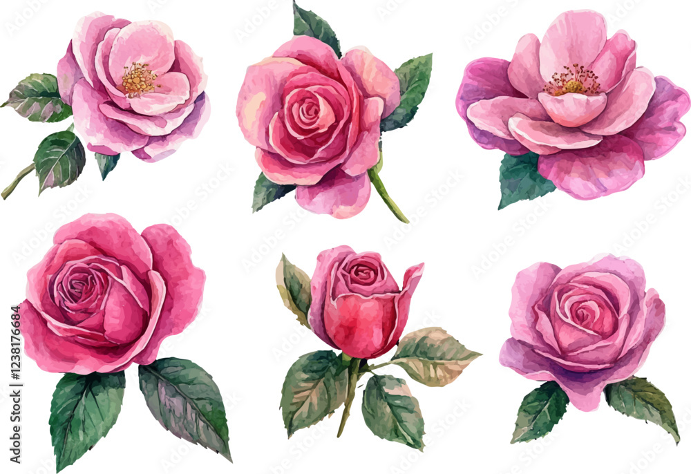 set of roses isolated set of roses isolated