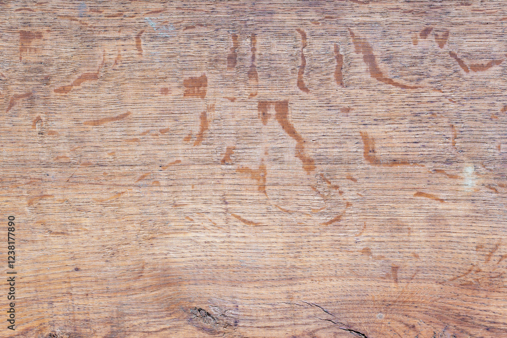 The old wood texture with natural patterns