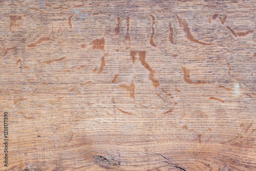 The old wood texture with natural patterns