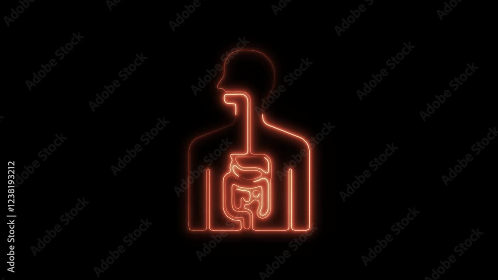 Glowing Neon Gastrointestinal Tract Icon, Symbol of Digestive Health, HD Video Motion Graphic Animation on Black Background Glowing Neon Gastrointestinal Tract Icon, Symbol of Digestive Health, HD Video Motion Graphic Animation on Black Background