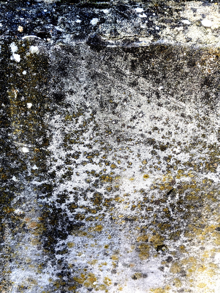 Obraz premium Close up of heavily weather concrete wall with cracks and moss corrosion Grungy Masionary Background