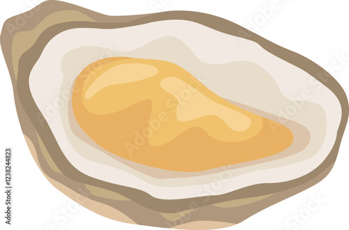 Open oyster vector illustration highlighting the contrast between the soft, fleshy inner body and the rough texture of the outer shell, ideal for seafood restaurant menus or culinary illustrations