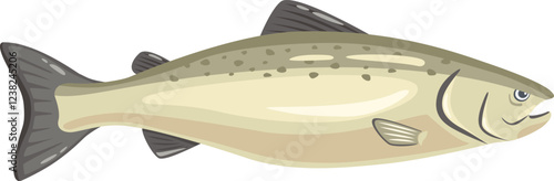 Realistic vector illustration featuring a cutthroat trout swimming underwater, highlighting distinctive red slashes under the jaw and speckled olive green body