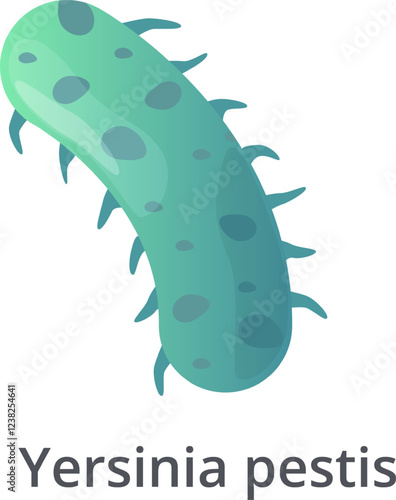 Yersinia pestis bacteria, a gram negative, rod shaped coccobacillus, a facultative anaerobic organism that can infect humans and animals, is responsible for the infamous bubonic plague