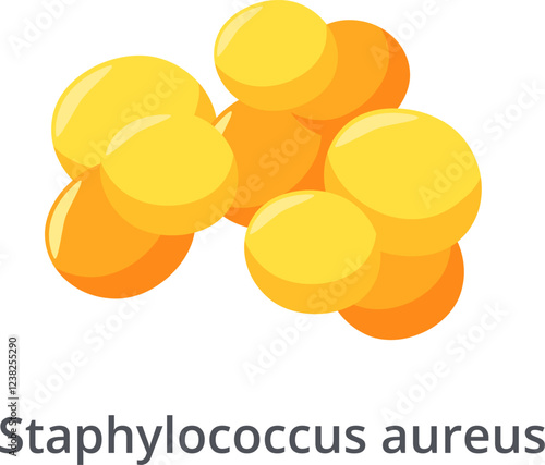 Staphylococcus aureus bacteria forming irregular grape like clusters, a common cause of skin infections, respiratory disease and food poisoning, are showing antibiotic resistance