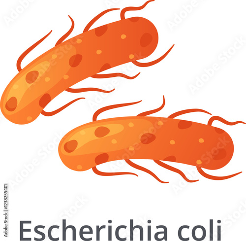 Escherichia coli bacteria is a common cause of food poisoning and urinary tract infections, highlighting the importance of food safety and hygiene