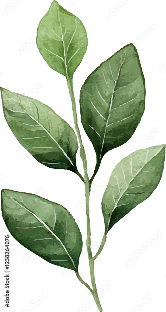 Naklejka premium Watercolor green leafy branch illustration