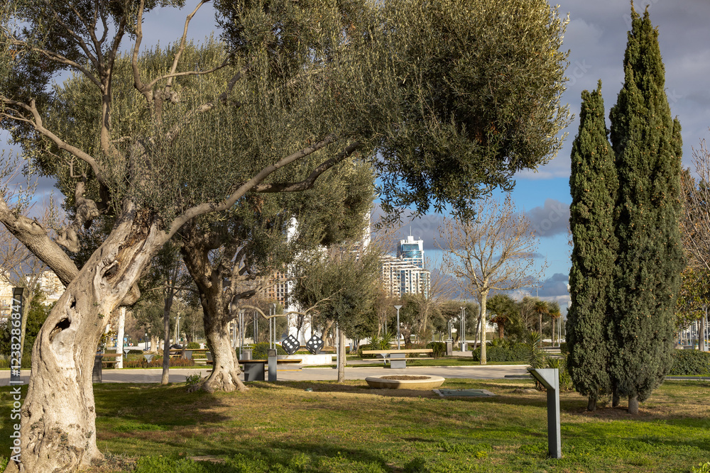 Naklejka premium Trees in the park outdoor