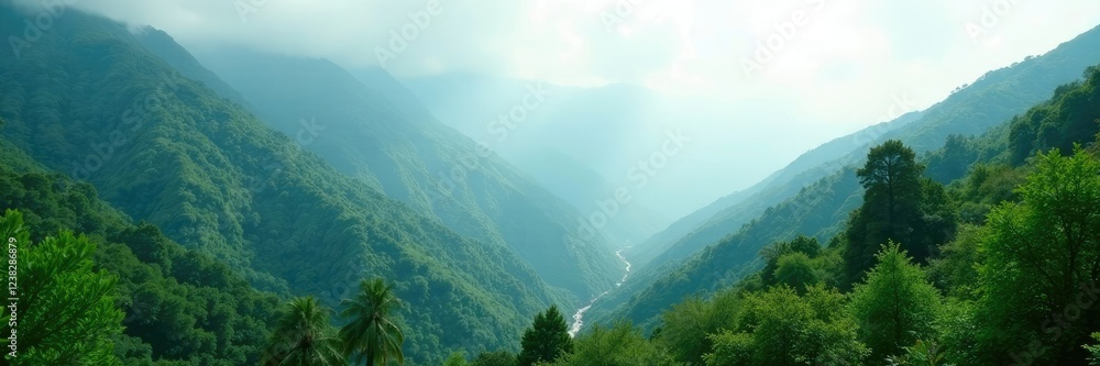 Fototapeta premium Misty mountainside blanketed with lush foliage, natural, leafy