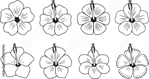 silhouette vector illustration set off hibiscus flowers arranged in two rows