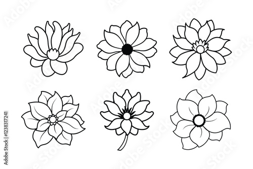 Anemone (Anemone spp.) line art vector illustration