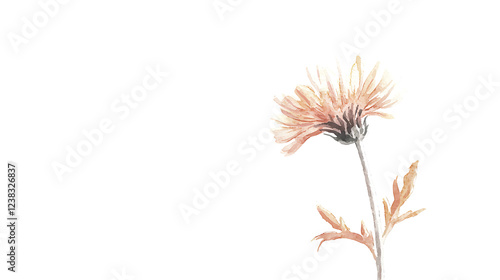 Wallpaper Mural A flower is shown in a painting with a white background Torontodigital.ca