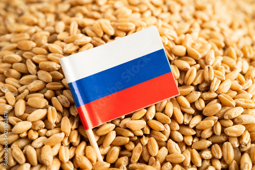 Russia flag with Wheat and grains ears agricultural, organic farm. photo