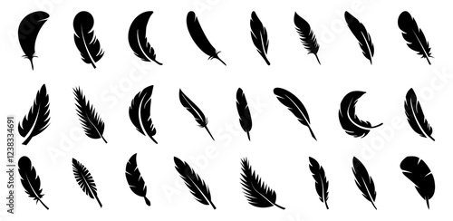 Black bird feather collection. Set of different bird feather