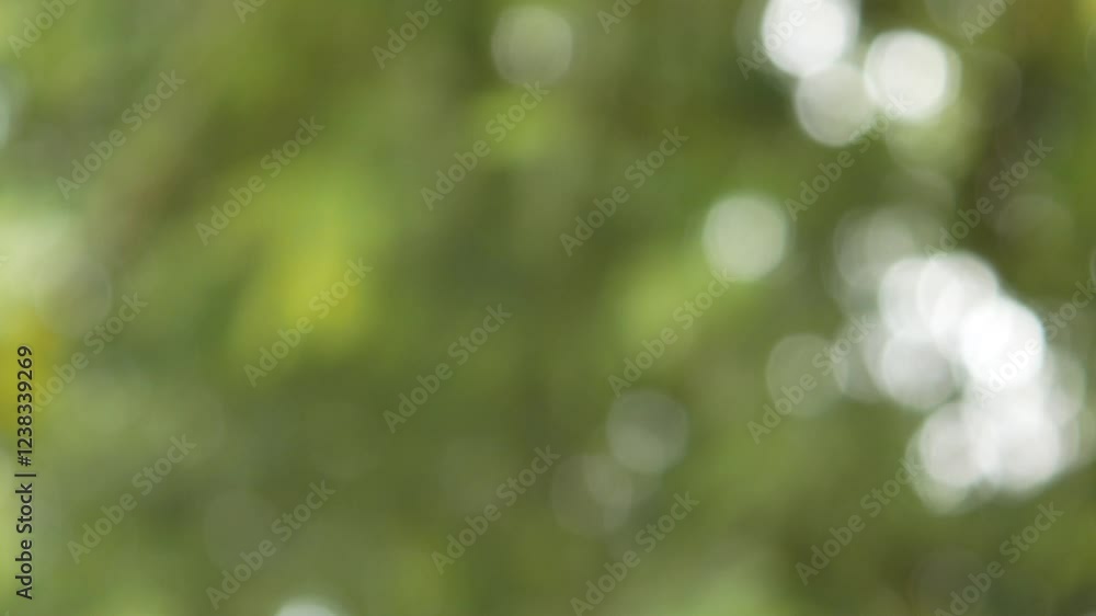 green bokeh background