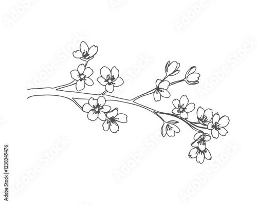 Cherry vibe, cherry blossom branch sketch drawing, flowers contour stylized drawing, isolated on white background, careless sloppy simple drawing