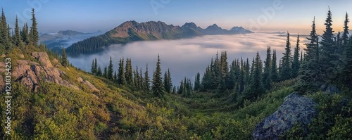 Misty mountain nature idea. Breathtaking mountain view surrounded by lush trees and misty valleys at sunrise.
